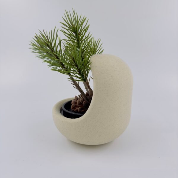 IMG_6312 Vaso Elegante