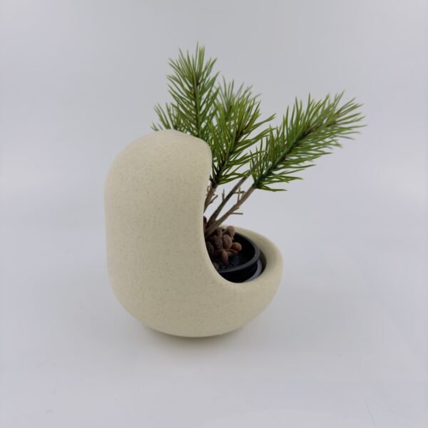 IMG_6313 Vaso Elegante