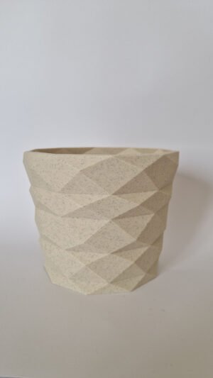 20240430_121538_2560 Vaso Decorativo