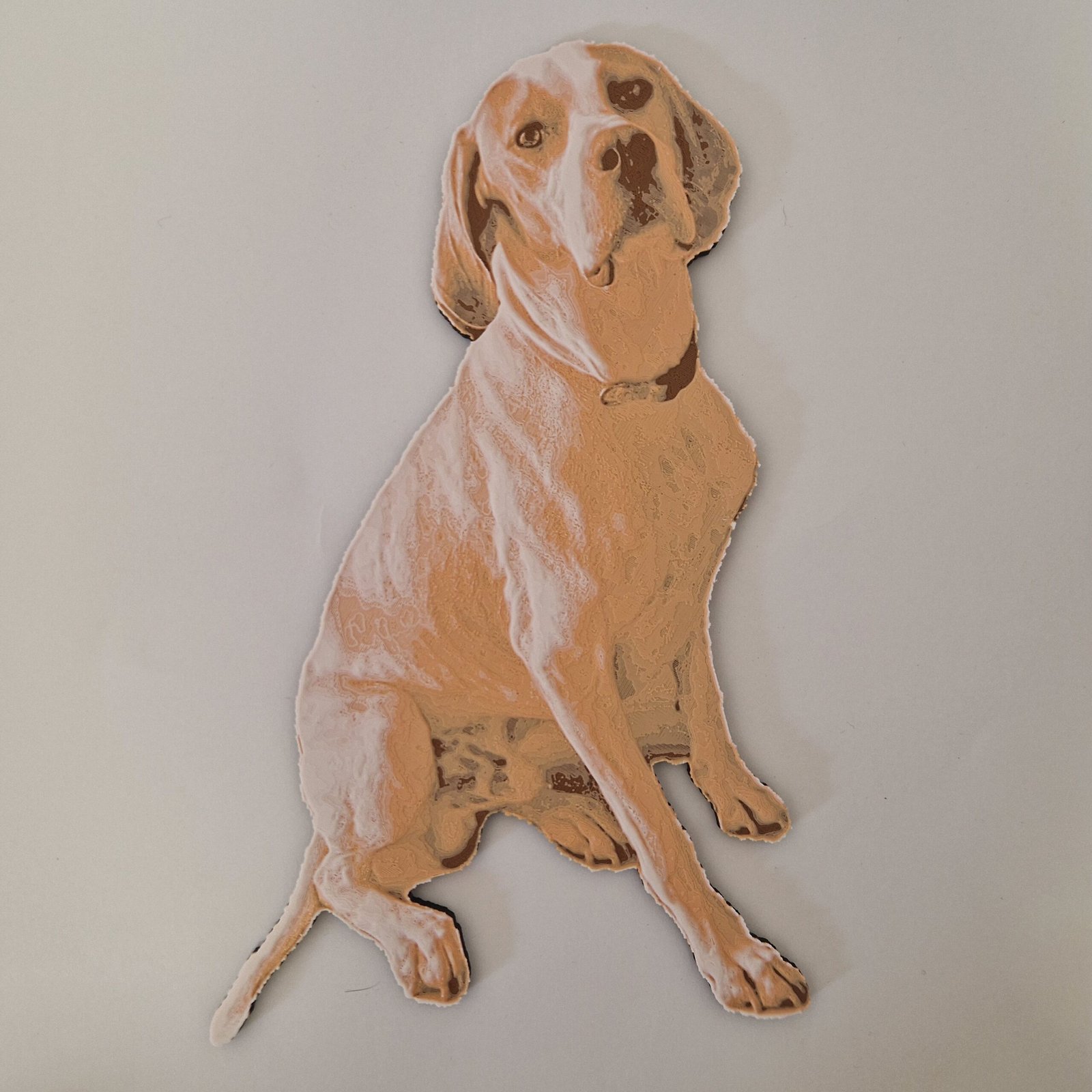 20240829_175748 Fotografia em Impressão 3D