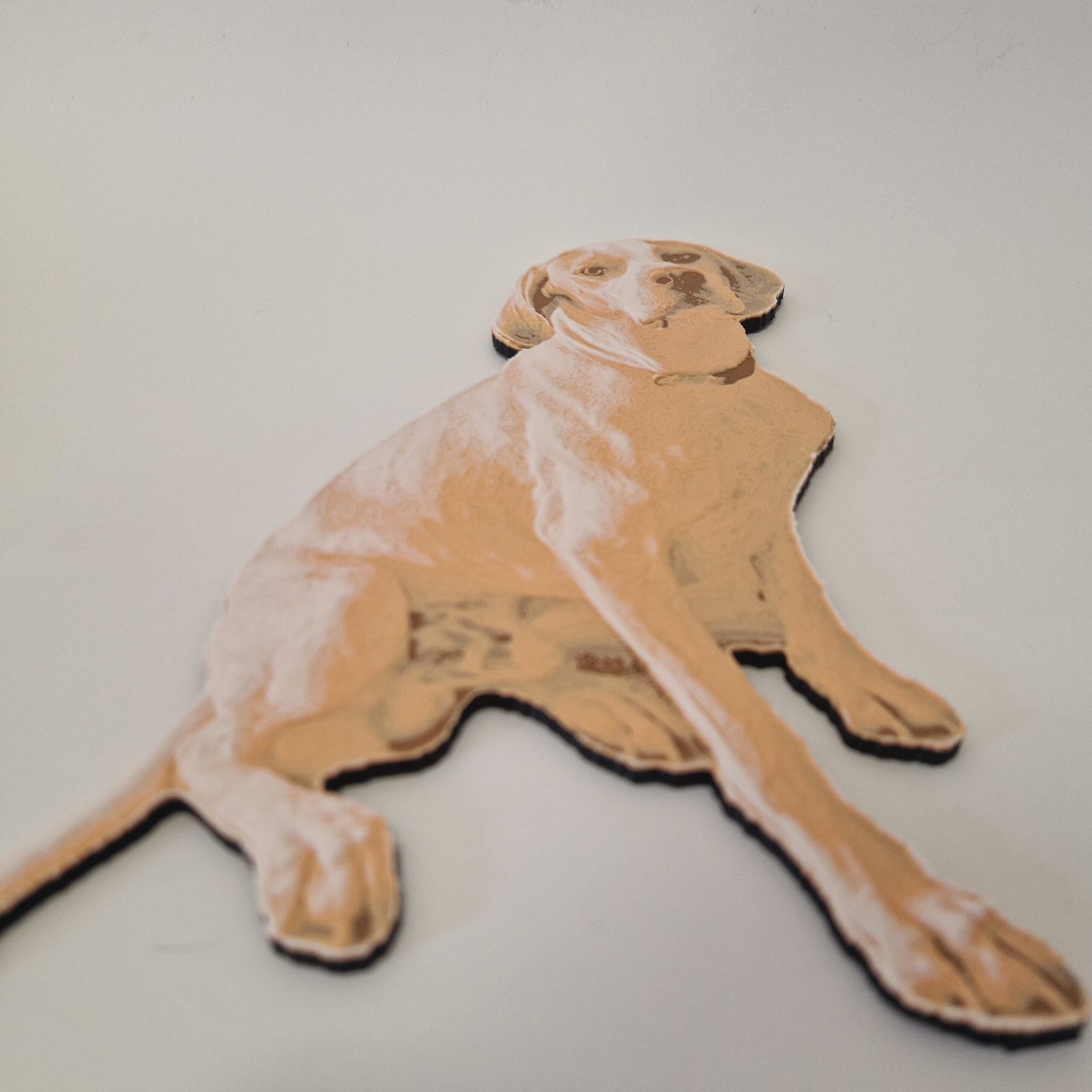 20240829_175801 Fotografia em Impressão 3D